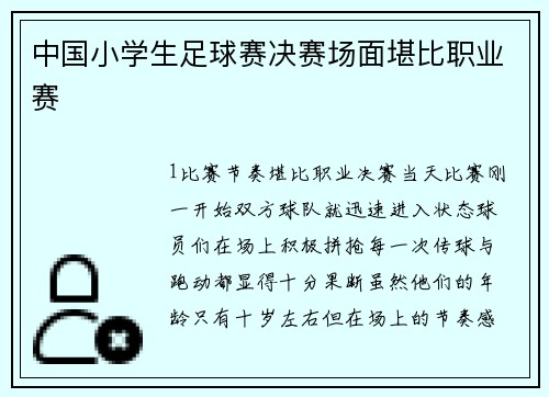 中国小学生足球赛决赛场面堪比职业赛
